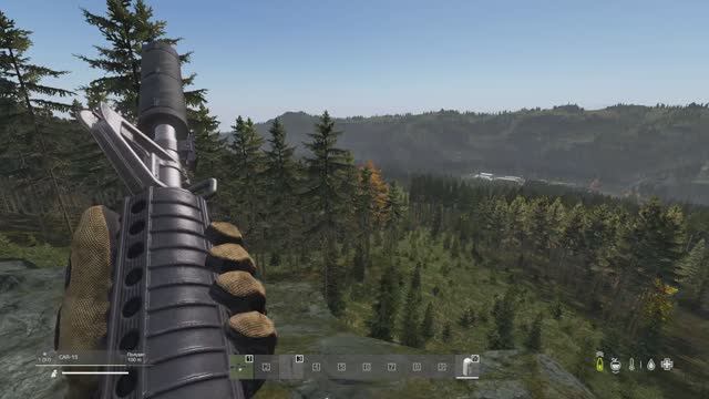 DayZ