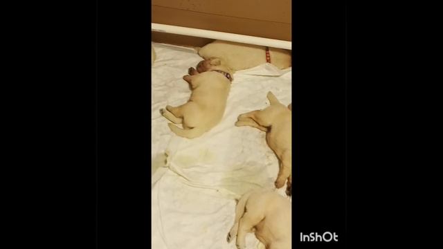 1000584910.mp4