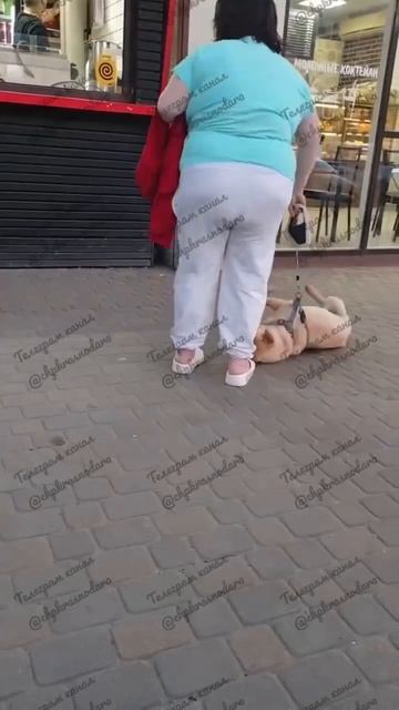 Жители Краснодара требуют у полицейских возбудить против женщины, ударившей на улице собаку !!!