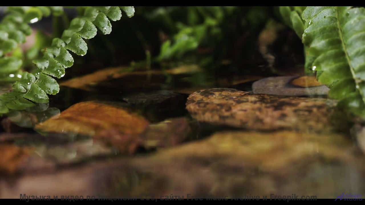 Мелодия шепчет, как звучит настоящее спокойствие - Never Really Change -- Derek Clegg -- Good Graces