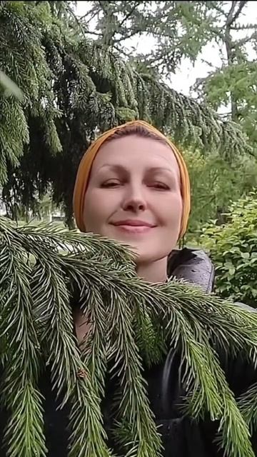 Не плачь 💧☂️