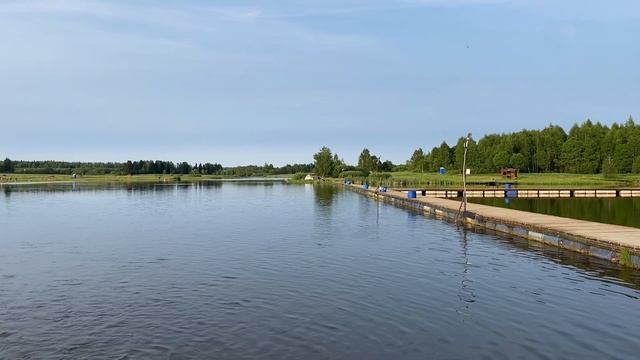Запускаем карпа в водоем