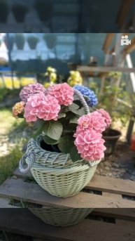 Лукошко из искусственного ротанга в цвете мятный шлиф