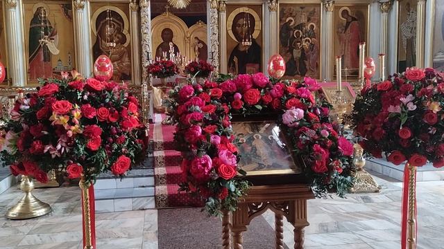1000169228.mp421 апреля 25.г