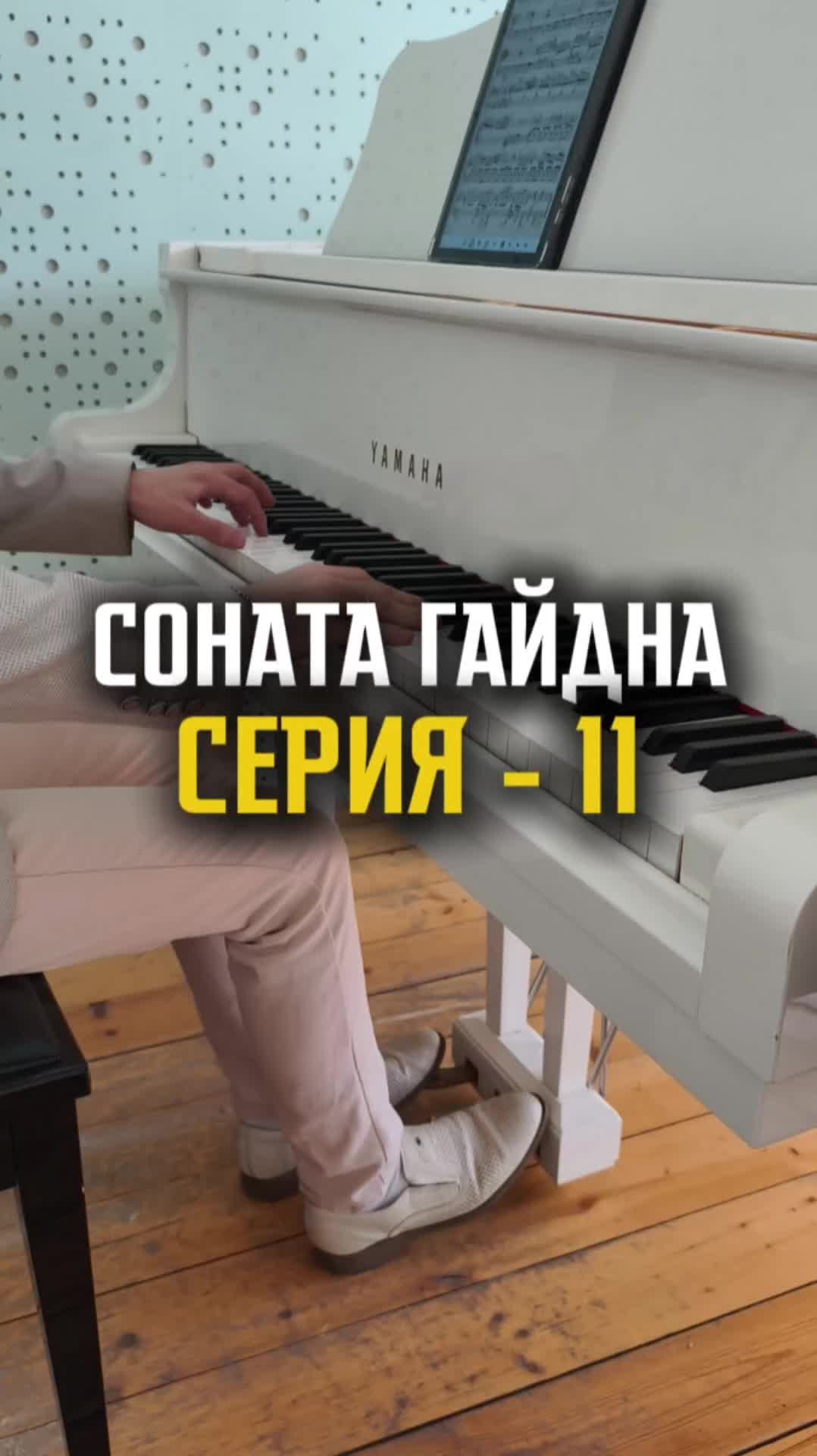 Соната Гайдна - Серия 11