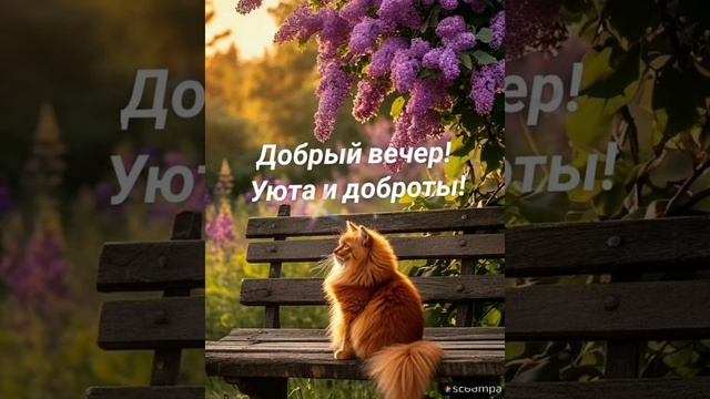 Добрый вечер♥️ Приятных сюрпризов и прекрасного настроения 😍♥️