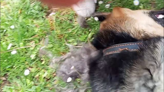 Дик....