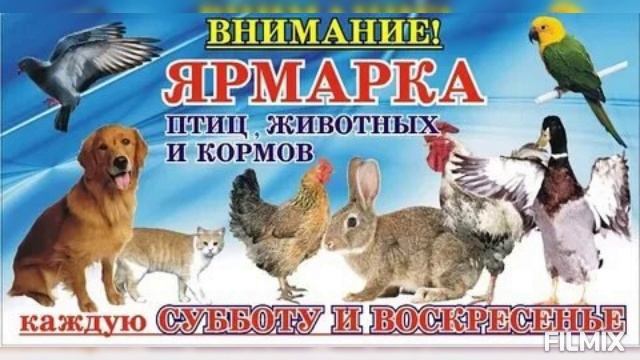Птичий рынок г. Клин ул. Станционная 10