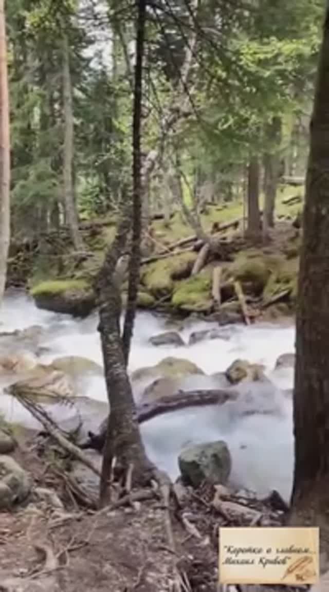 СТОРОНУШКА РОДНАЯ!