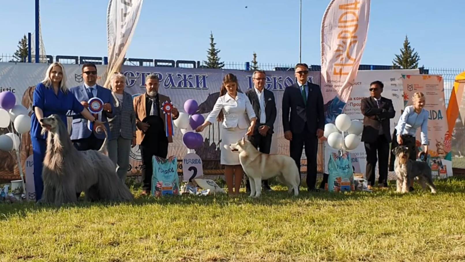 01.06.2025, Псков. Клуб БЭСТ (РКФ, РФОС). Рейтинговая выставка СТРАЖИ ПСКОВА (САС, ЧРКФ)