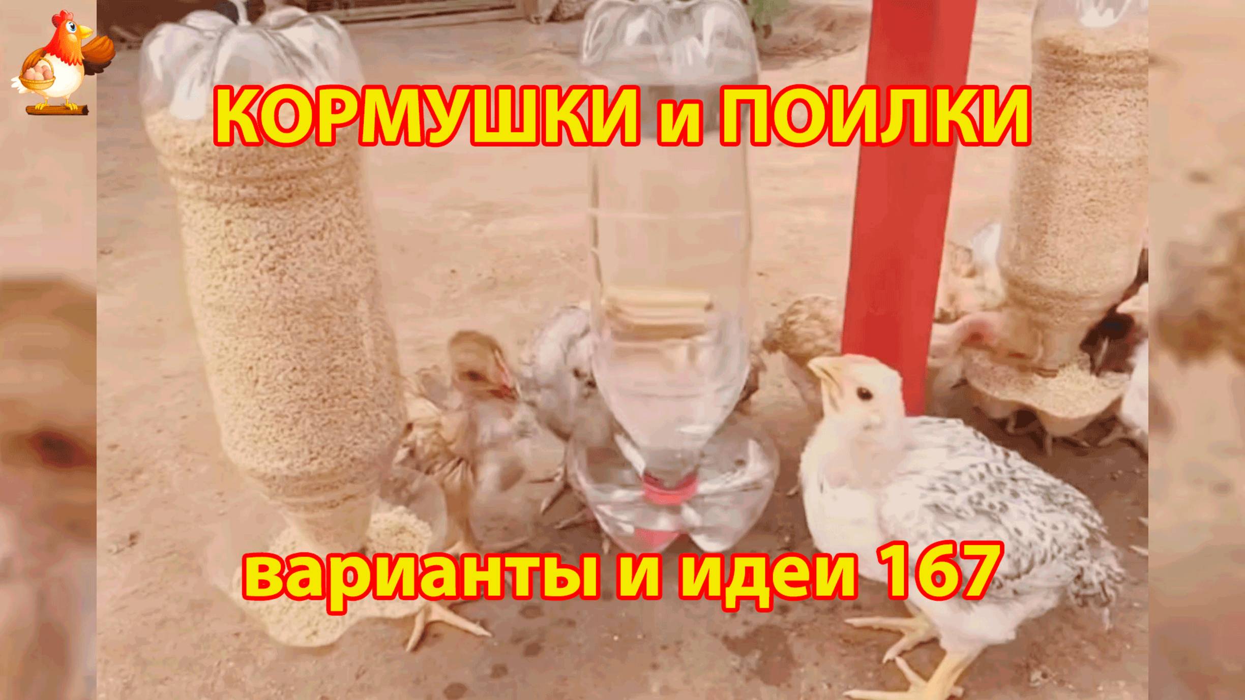 Кормушки и поилки для кур своими руками (167) 🪚✂️ Пошаговая инструкция как сделать 🐔 🐓❣️
