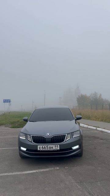 шкода на втором стейже сильно