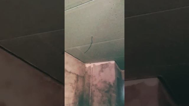 Устройство и монтаж парящего потолка.
