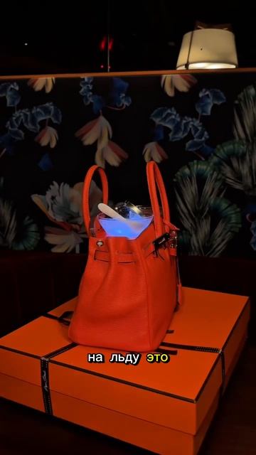 Коктейль за $150 с чёрной икрой в сумке Birkin — шоу в Майами