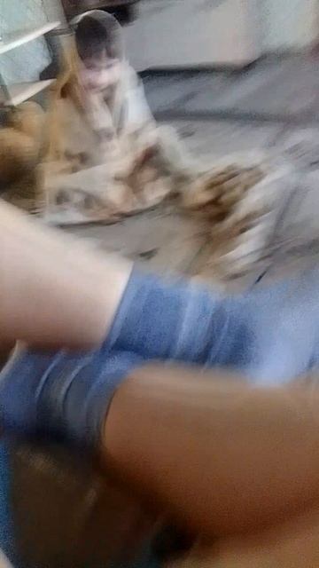 пытаюсь приручить собанимуса