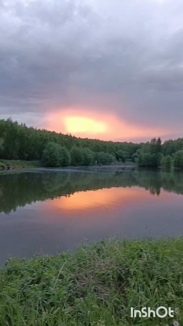 Вечерняя красота на нашем пруду! 🥰