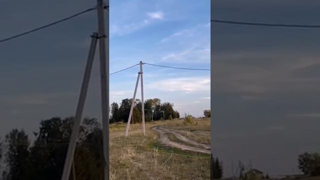 Гуси бегут домой - 2024 год