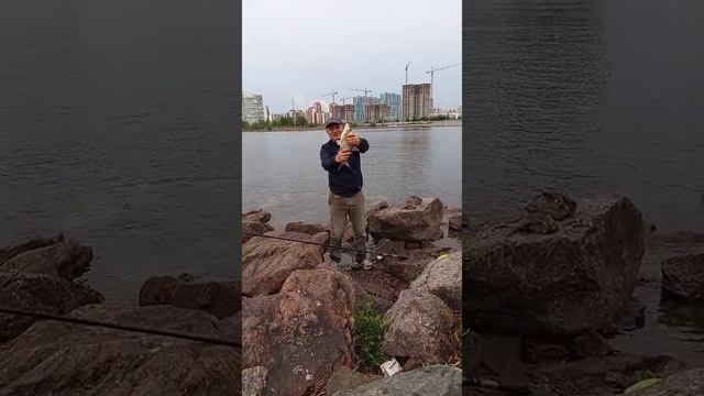 1000012235.mp4