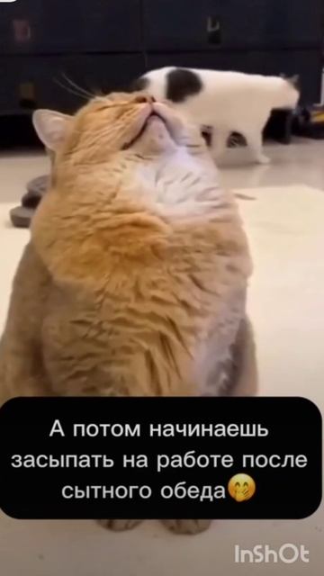 🤣🤣🤣🤣🤣🤣