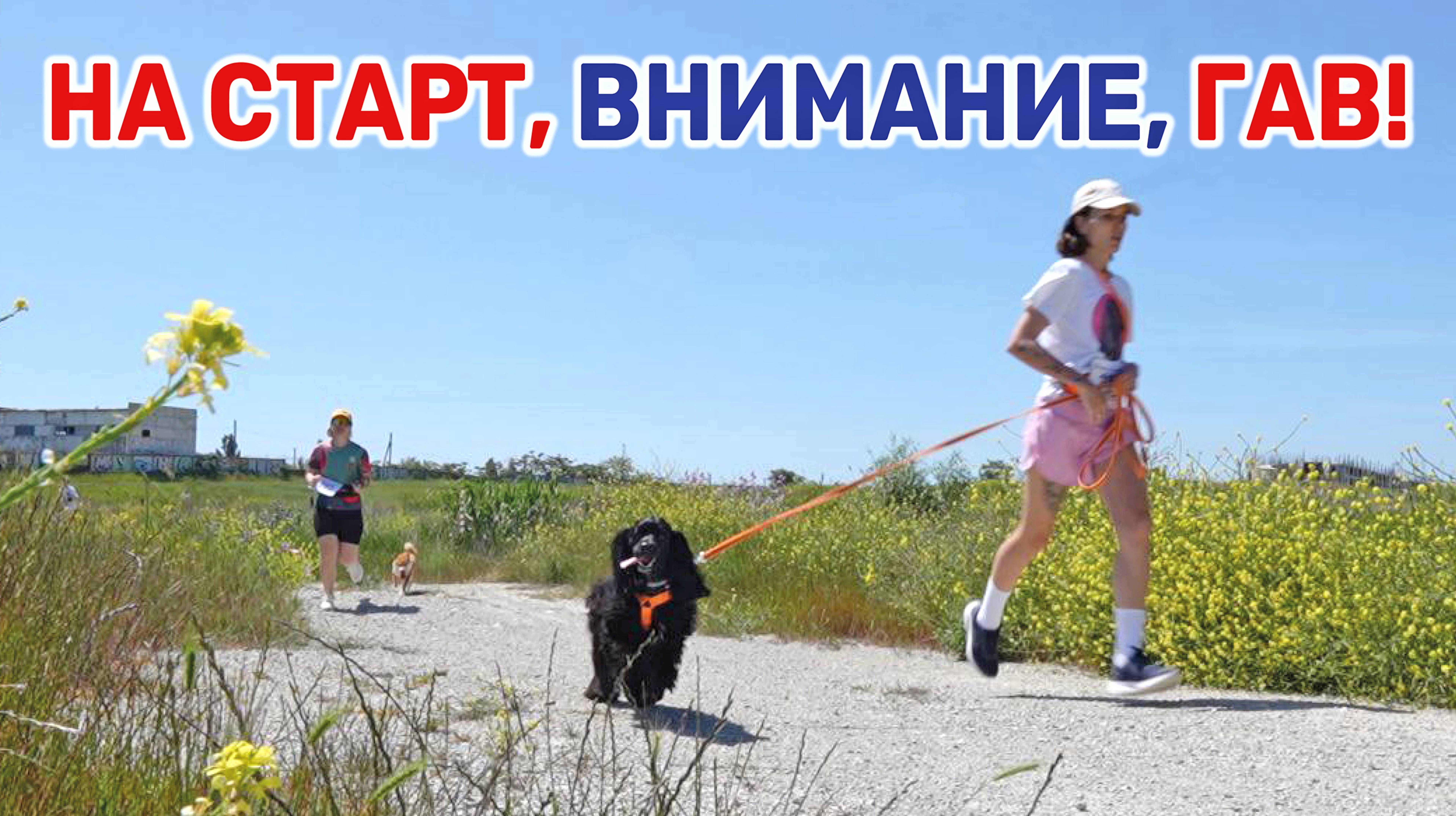 В Новороссийске прошел первый на Кубани забег спортсменов с собаками