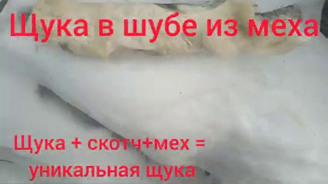 Щука в шубе