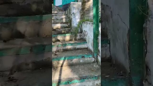 00.mp4