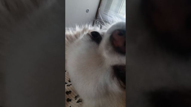 1000005527.mp4