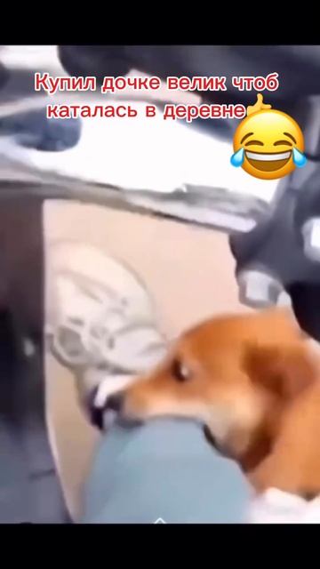 Покаталась)))