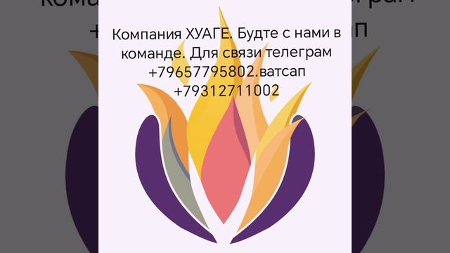 1000030167.mp4