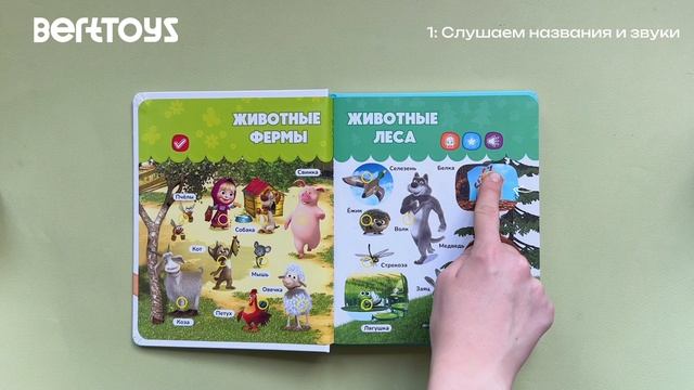 Инструкция. Нажималка. Маша и Медведь. Давай, давай учиться!