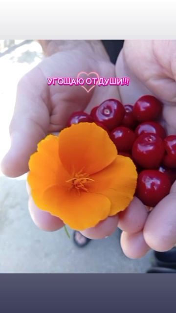 хорошо,но мало ☺️