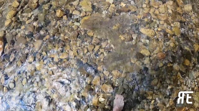 Я еду в Красную Поляну