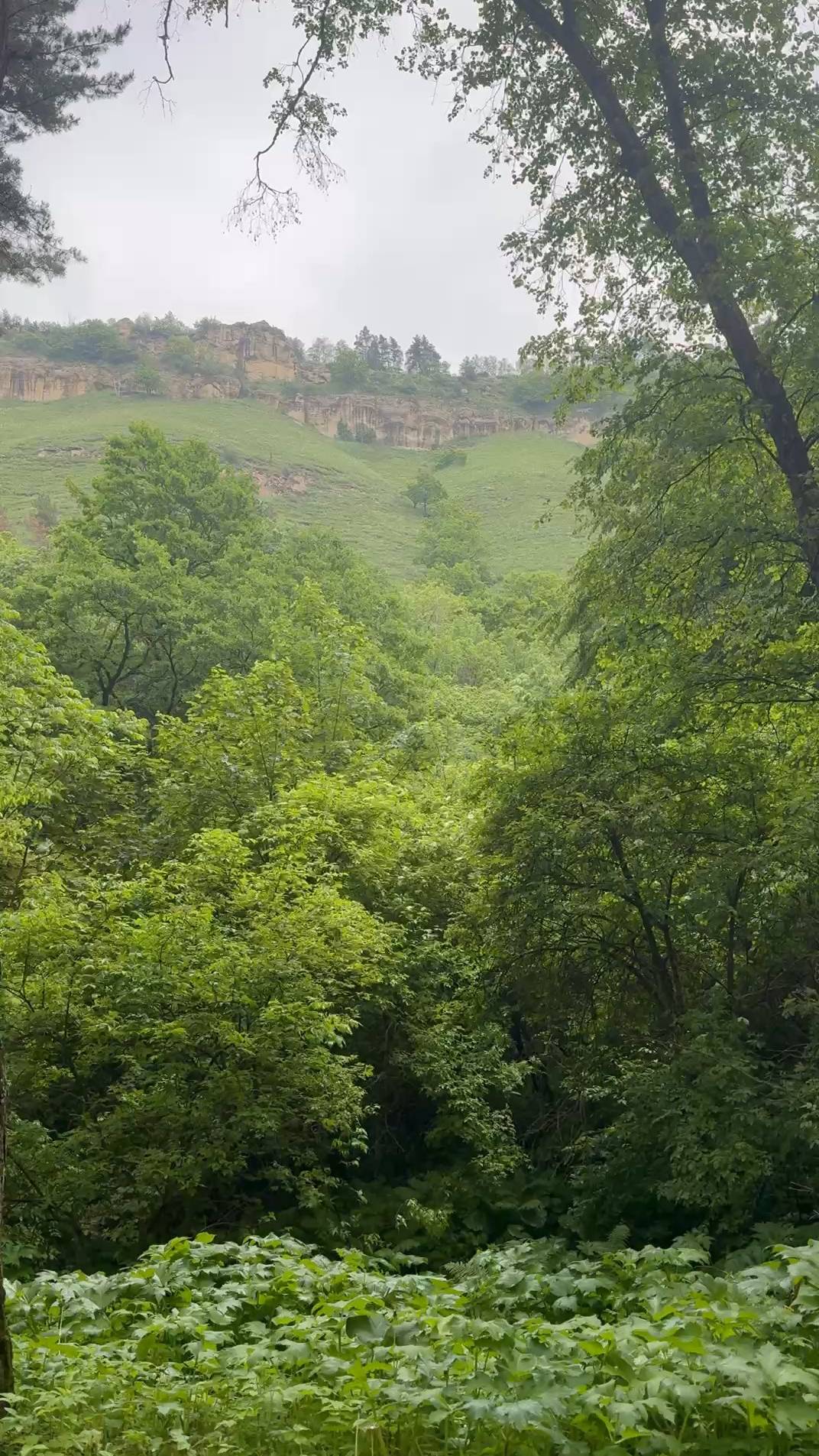 Три яруса впечатлений в Кисловодском парке