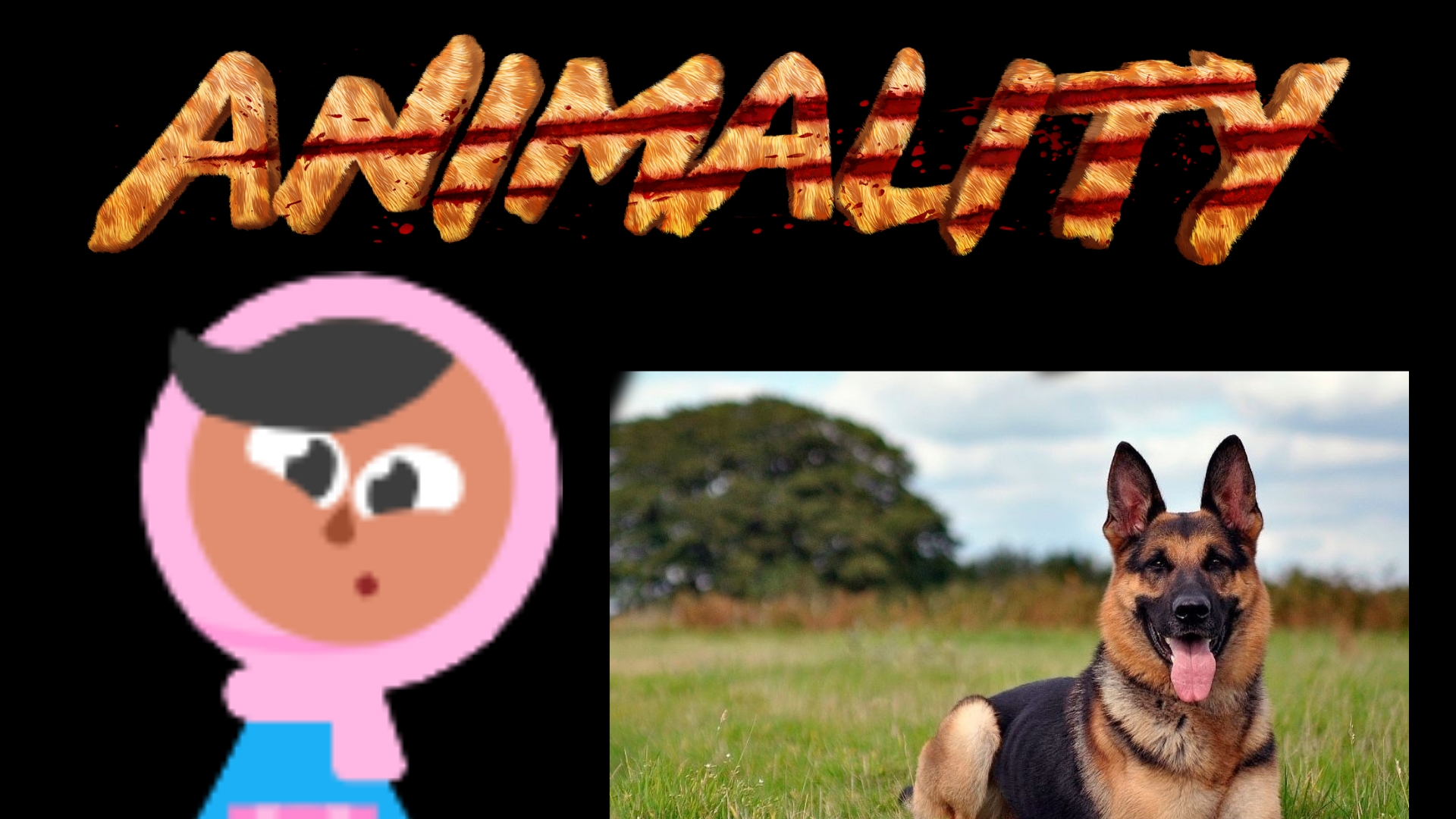 Zari animality - dog