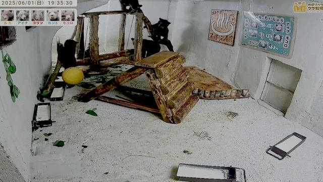 После тихого часа все полезли на спортивные снаряды