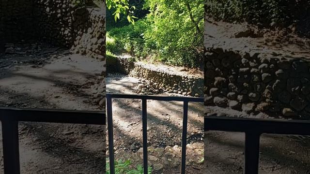 ИНТЕРЕСНОЕ ЗНАКОМСТВО СОРОКА ЧУМА !)