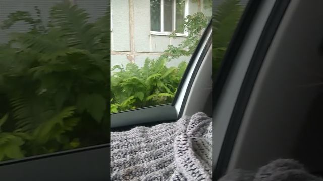 РУБЯТ ДЕРЕВЬЯ  УНИЧТАЖАЮТ ПРИРОДУ