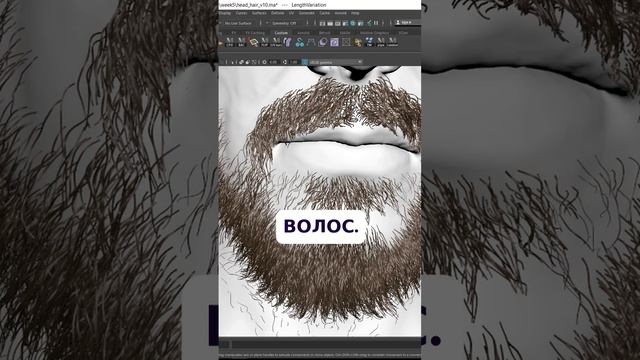 Использование процедурной текстуры для волос