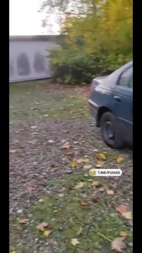 Магия какая-то😆