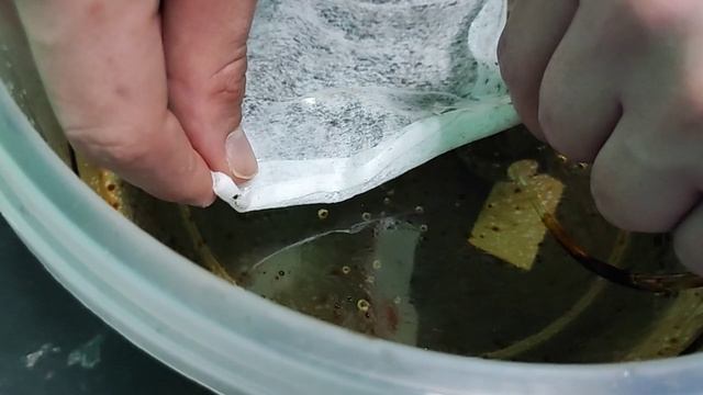 ВИДЕОРОЛИК КОМАНДА ECODIVER