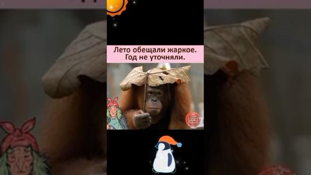 video_9593989698952.mp4