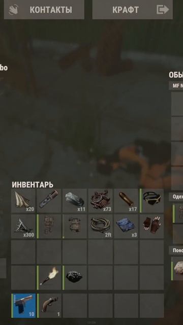 RUST  И ПЕШКА