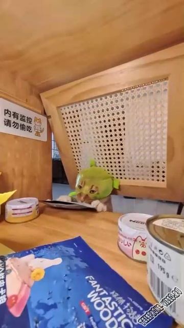 Ограбление кухни