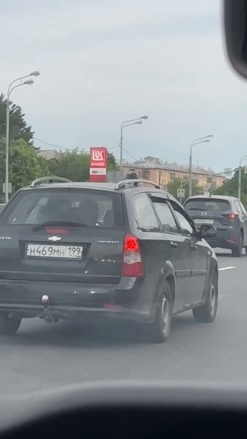 Ворона воспользовалась бесплатным человекошерингом в Раменках