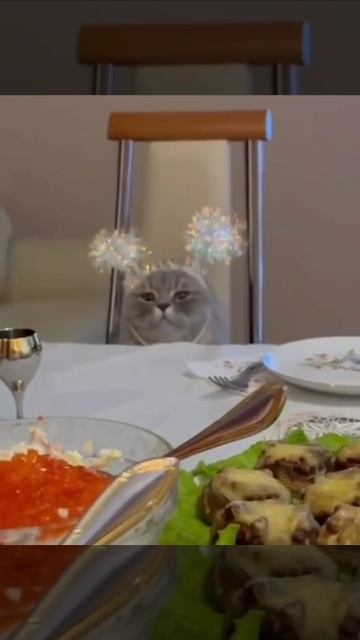 Где там уже тортик?