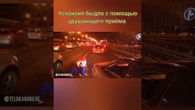 Борец успокоил агрессивного водителя