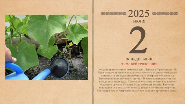 02.06.2025 Народный календарь