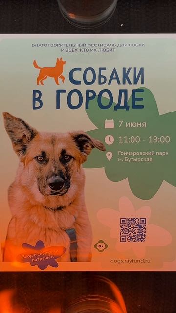 🔥Фестиваль «Собаки в городе» раздаст огня!🔥