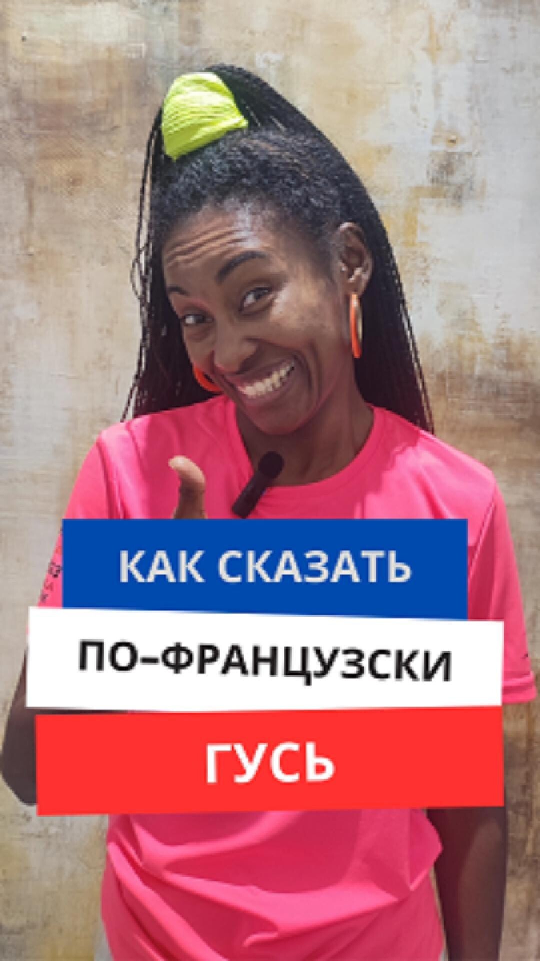 Как сказать по-французски "Гусь"