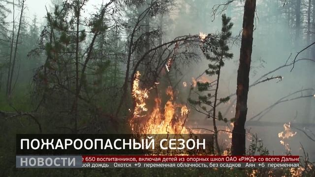 Борьба с лесными пожарами: как привлечь к ответственности виновных? Новости. 02/06/2025. GuberniaTV